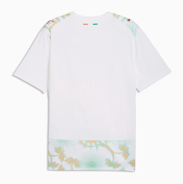 Maillot extérieure Côte d’Ivoire Coupe du monde 2026